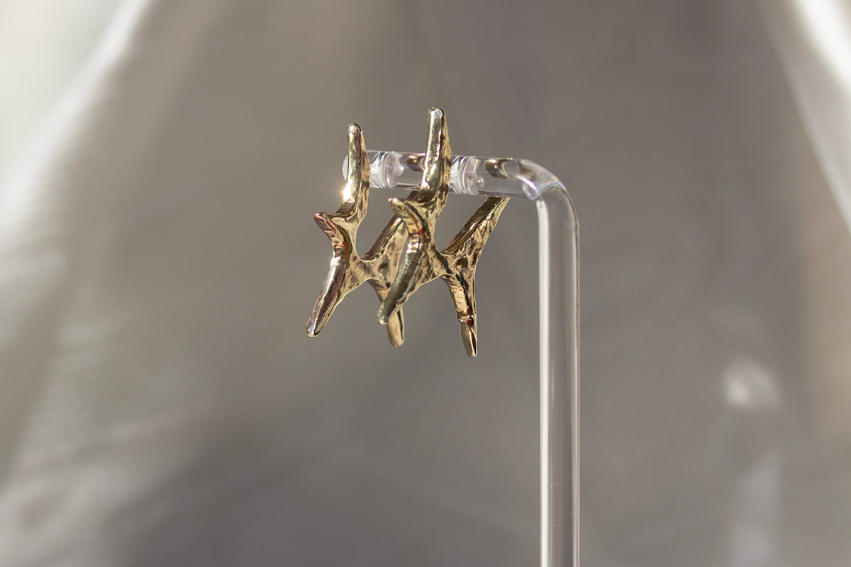 Brass Starseed Earrings