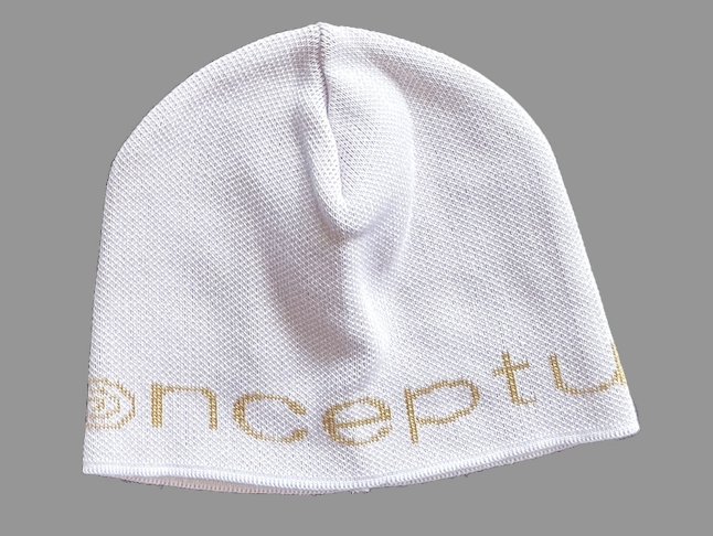 Conceptual Beanie