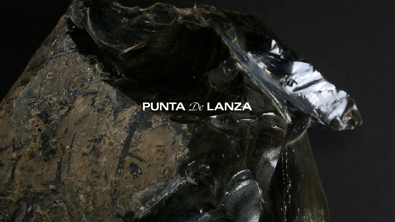 PUNTA DE LANZA