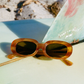 The Bikini Vision