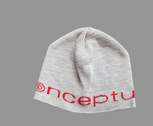 Conceptual Beanie