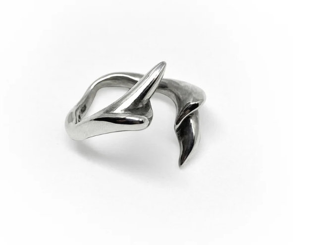 Anillo Vertebrae