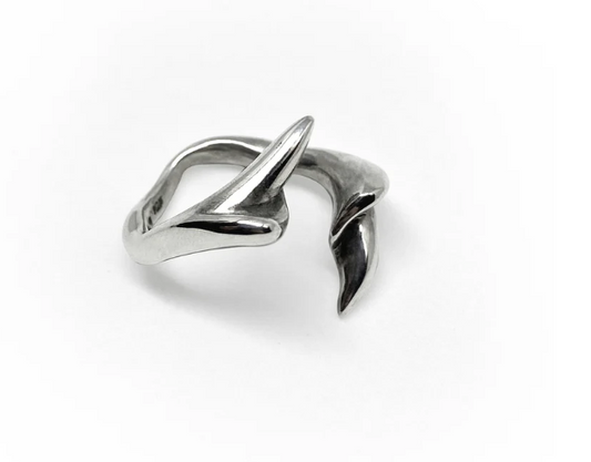 Anillo Vertebrae