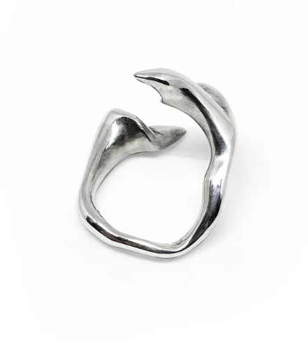 Anillo Vertebrae