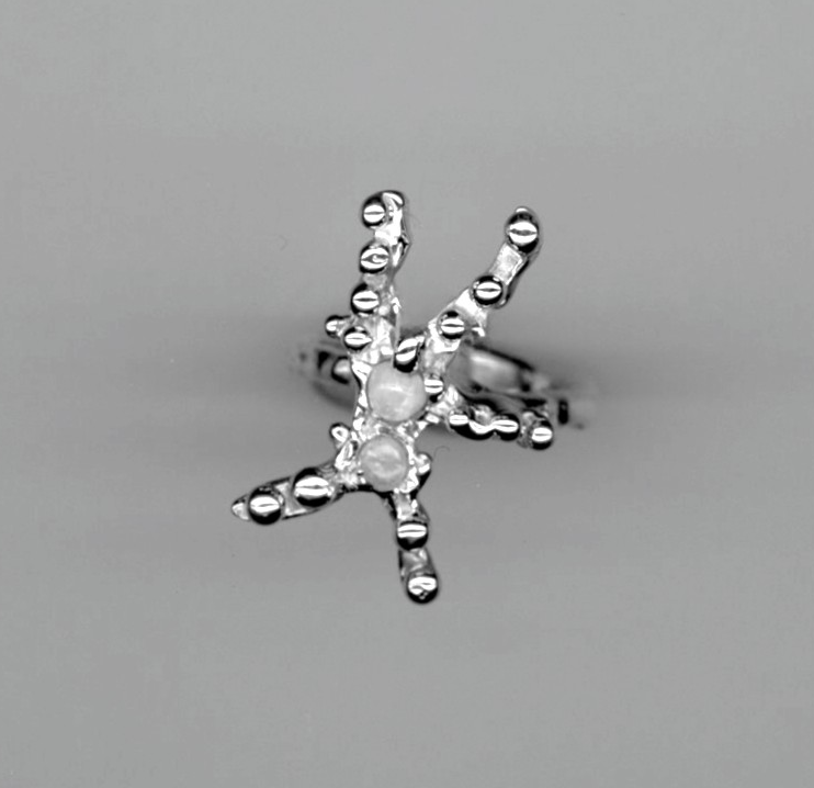 Anillo Cromosoma