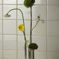 Florero Destinadas