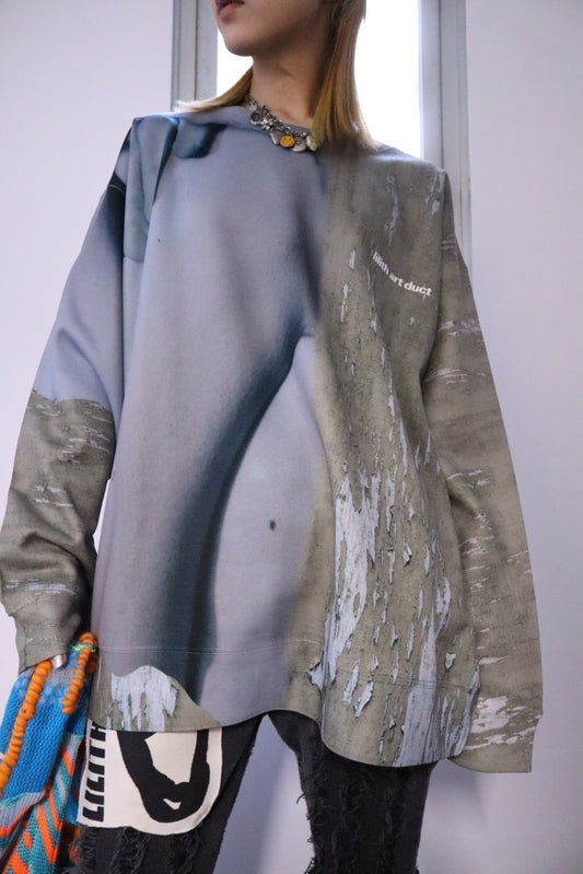 Graphic sweat shirt(F)