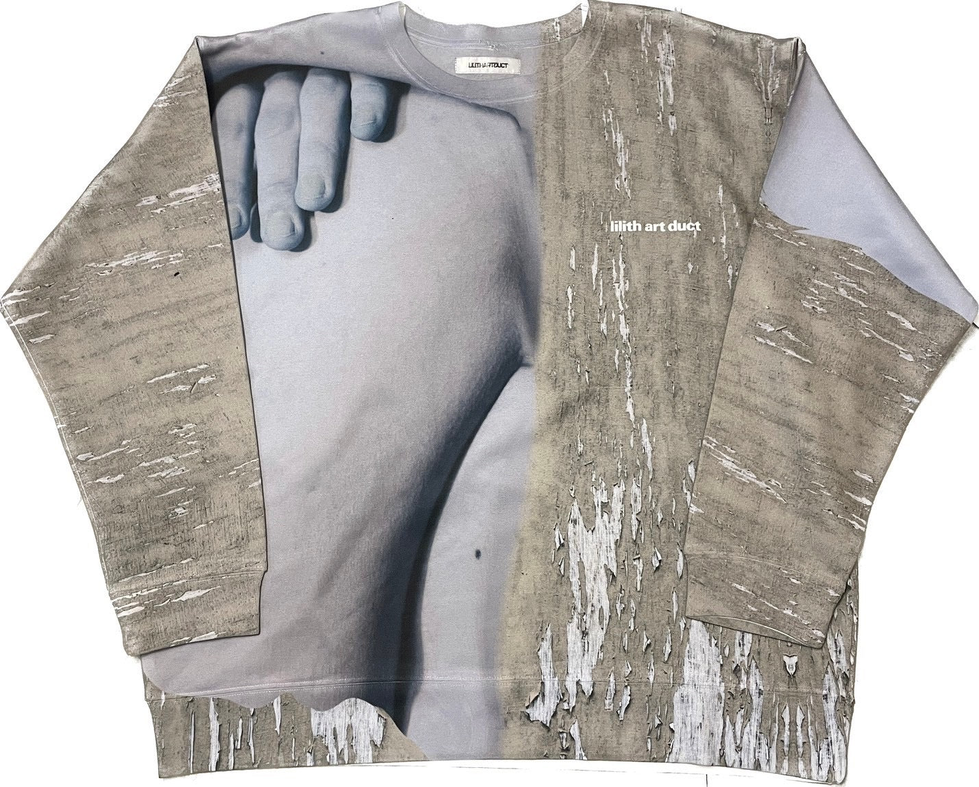 Graphic sweat shirt(F)