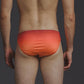 Swim Brief Gradiente