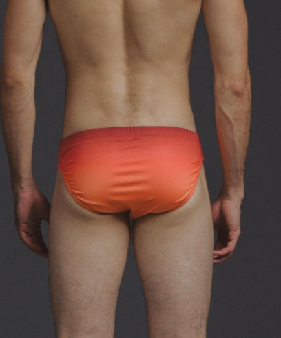 Swim Brief Gradiente