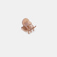 Mini Claw